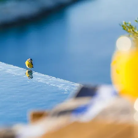 1 Bedroom In Semesterbostad